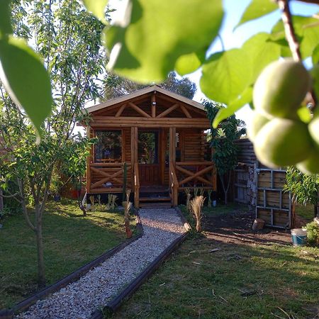 Foresta Acantilados, Casa Container Y Cabana De Troncos Mar del Plata Buitenkant foto