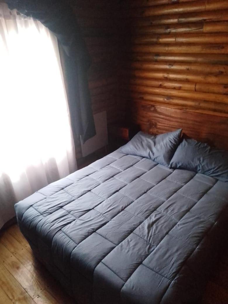 Foresta Acantilados, Casa Container Y Cabana De Troncos Mar del Plata Buitenkant foto