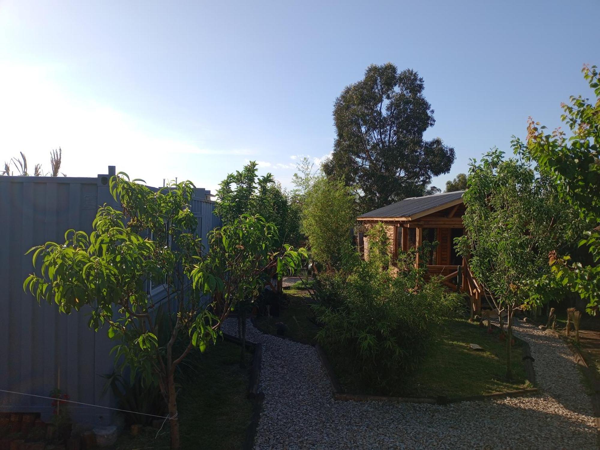 Foresta Acantilados, Casa Container Y Cabana De Troncos Mar del Plata Buitenkant foto