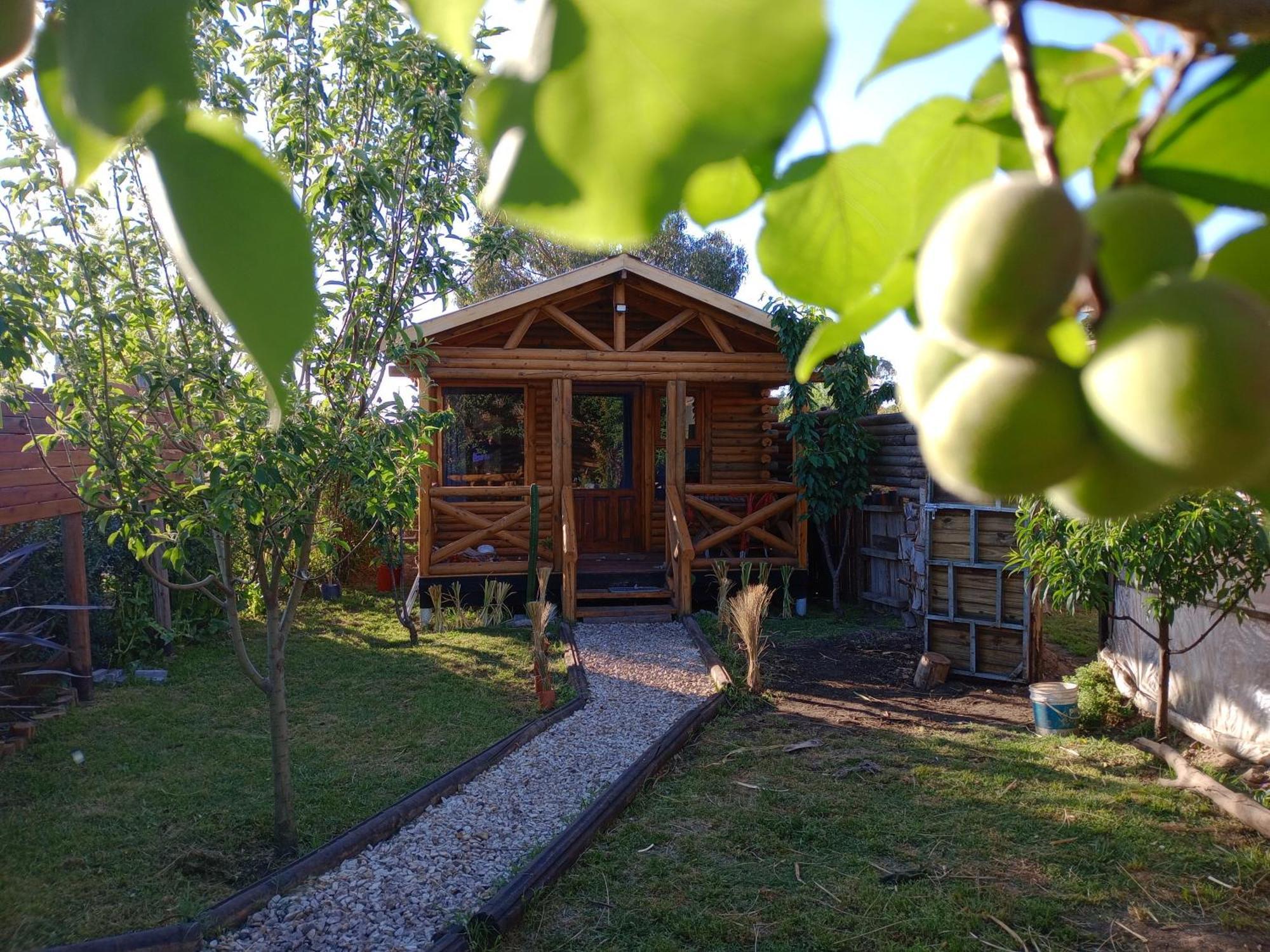 Foresta Acantilados, Casa Container Y Cabana De Troncos Mar del Plata Buitenkant foto