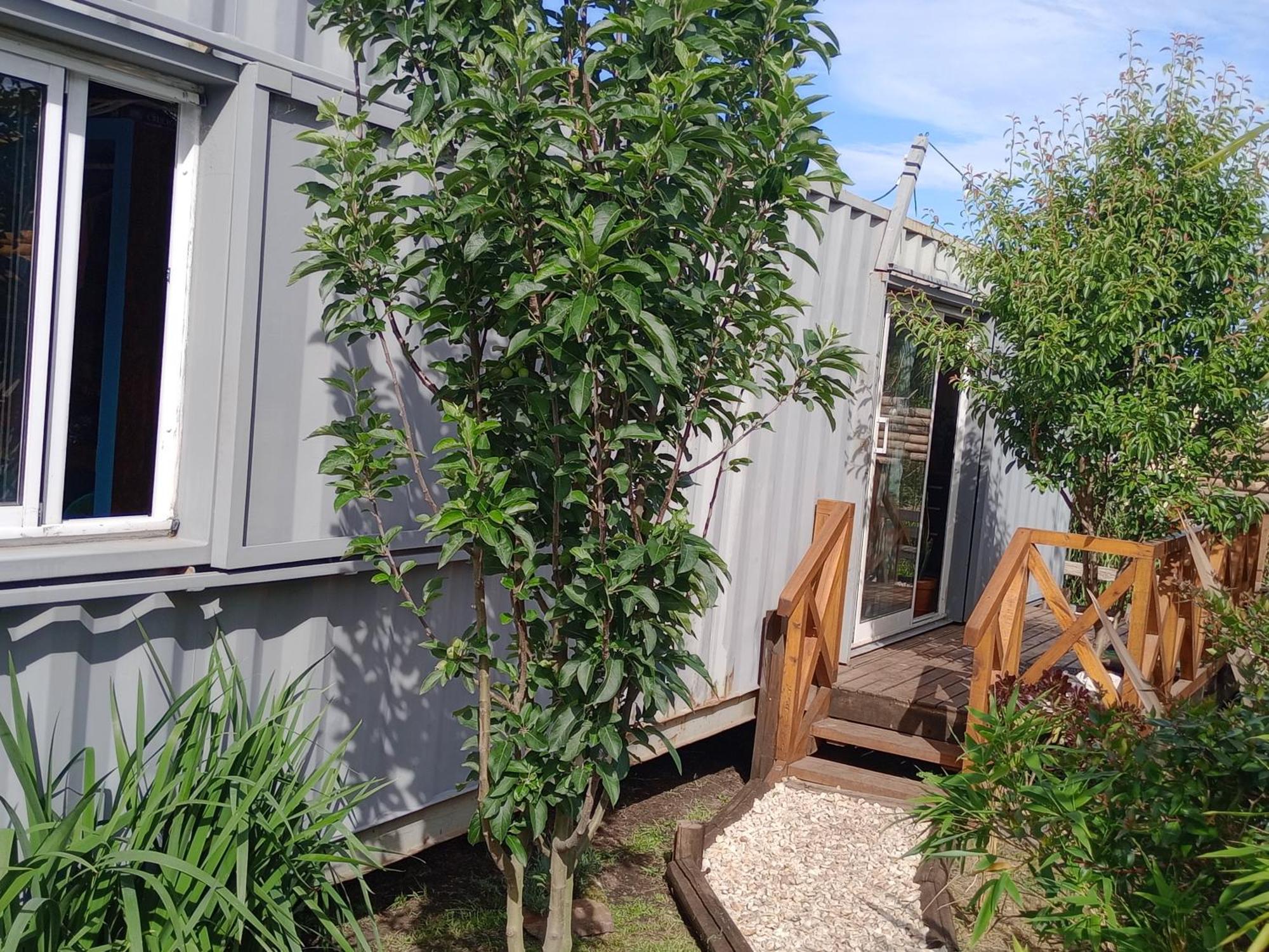 Foresta Acantilados, Casa Container Y Cabana De Troncos Mar del Plata Buitenkant foto